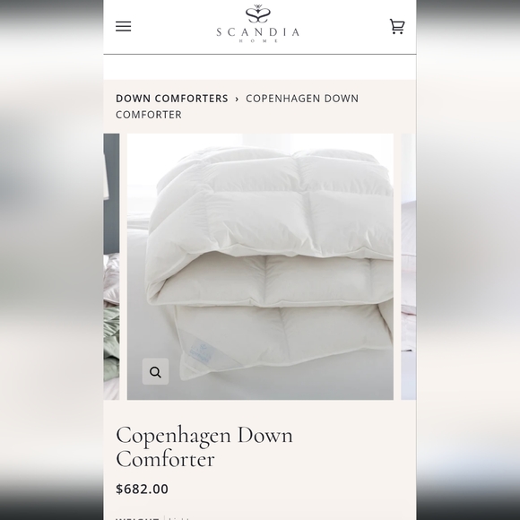 Scandia Home Other - Scandia home king down comforter